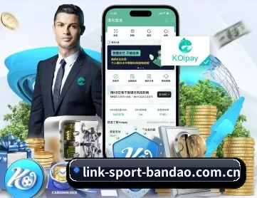 半岛综合 APP